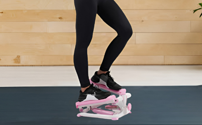 Sunny Health Fitness Mini Stepper