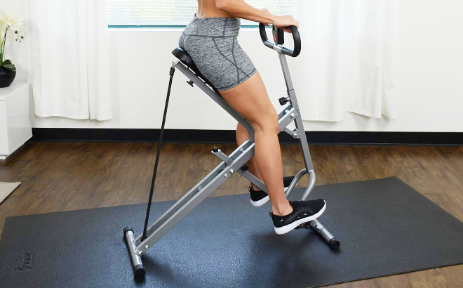 Sunny Health Fitness Row N Ride Squat Assist Trainer