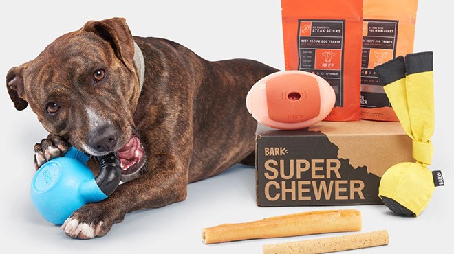 A Dog Next To a Super Chewer Box With Snacks and Treats