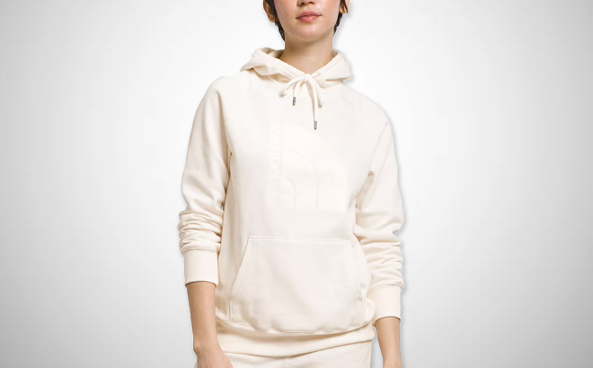 The North Face Womens Jumbo Half Dome Pullover Hoodie
