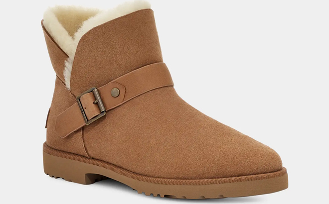 UGG Romely Short Buckle Boots in the Color Chestnut UGG Romely Short Buckle Boots in the Color Chestnut