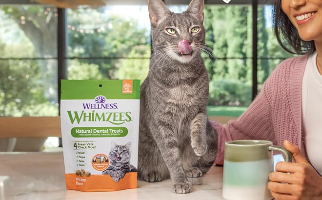 Wellness Whimzees Cat Dental Treats beside a cat being pet by a person