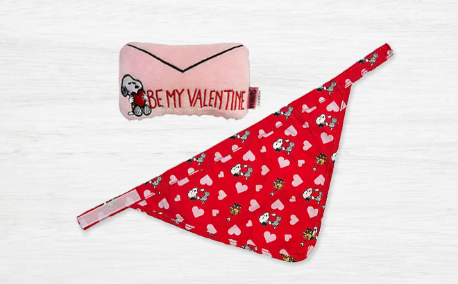 Woof Snoopy Woodstock Valentines Day Bandana and Toy Set