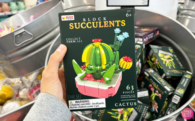 a Person Holding Block Tech Succulents Cactus 63 Piece Set