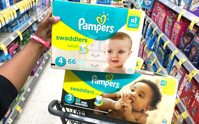 a Person Holding a Box of Pampers Swaddlers Diapers