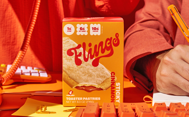 A Box of Flings Sticky Cinnamon Toaster Pastries