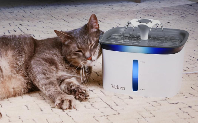 A Cat Laying Beside a Veken Automatic Pet Water Fountain
