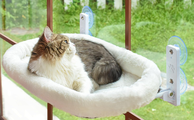 A Cat on Amosijoy Cordless Cat Window Perch
