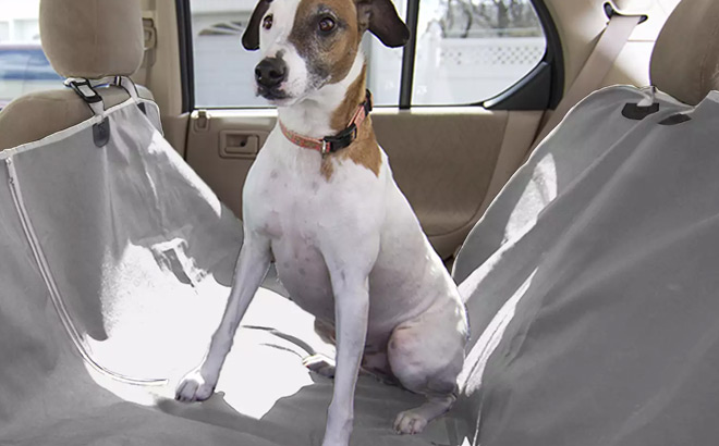 A Dog Seated on a Car Backseat covered with Woof Hammock Seat Cover