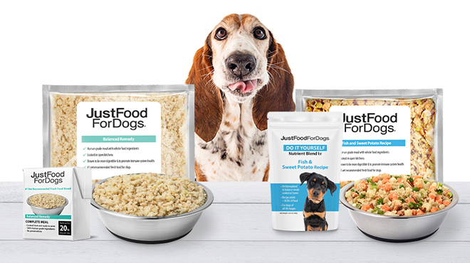 A Dog with JustFoodForDogs Dog Food