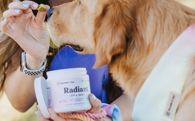 A Person Giving a Dog Bundle x Joy Supplements