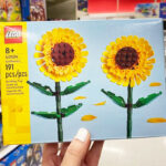 A Person Holding LEGO Sunflowers Building Toy Set Inside Target Store