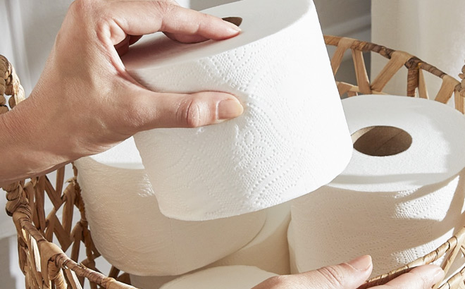 A Person Holding a Quilted Northern Toilet Paper Roll