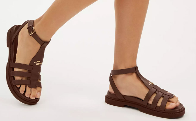 A Person Wearing Coach Outlet Franny Sandal