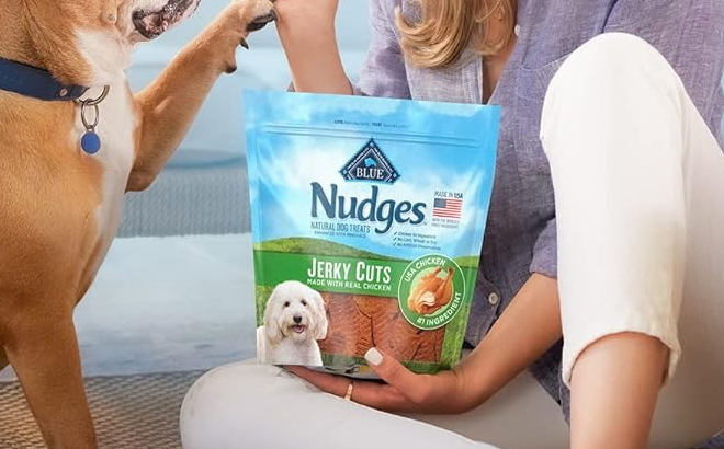 A Woman Feeding a Dog Blue Buffalo Nudges Jerky Cuts Natural Dog Treats
