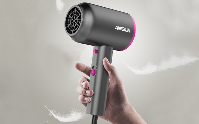 A photo showing Aniekin Professional Ionic Hair Dryer