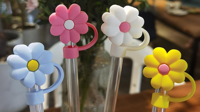 Aurdeayi Stanley Straw Toppers A photo showing Aurdeayi Stanley Straw Toppers