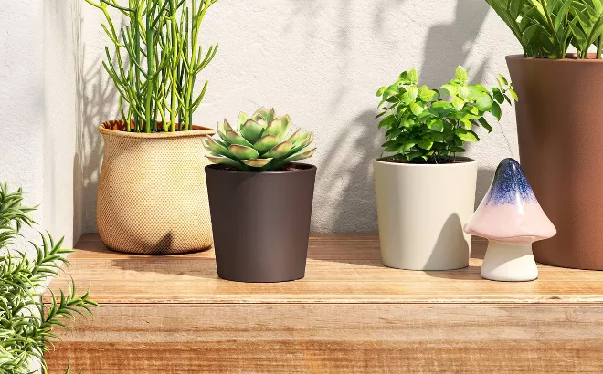 Aesthetic Plastic Indoor Outdoor Planter Pot Threshold