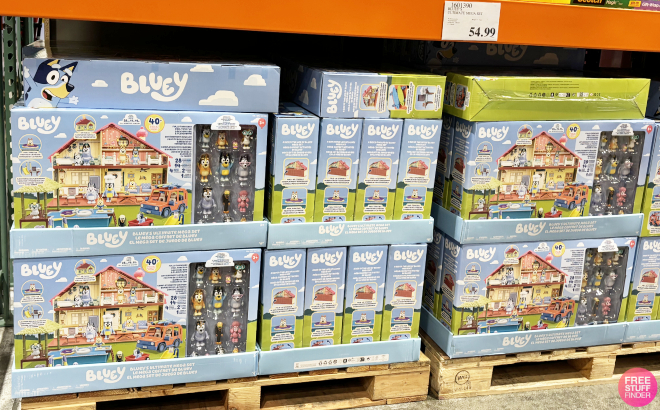 An Overview of Bluey Ultimate Mega Sets An Overview of Bluey Ultimate Mega Sets