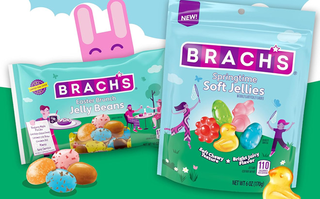 Brachs Springtime Soft Jellies Candy Bags
