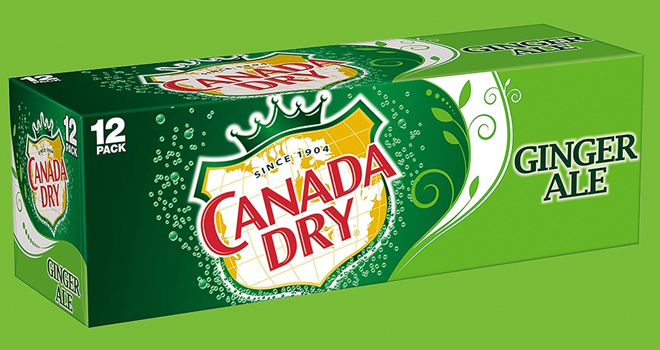 Canada Dry Ginger Ale Soda 12 fl oz cans Pack of 12