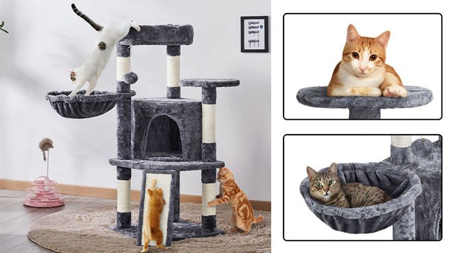 Cats Playing in a Cat Tree Condo