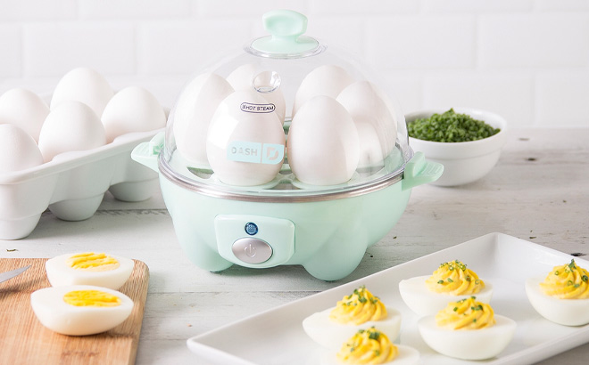Dash Rapid Egg Cooker