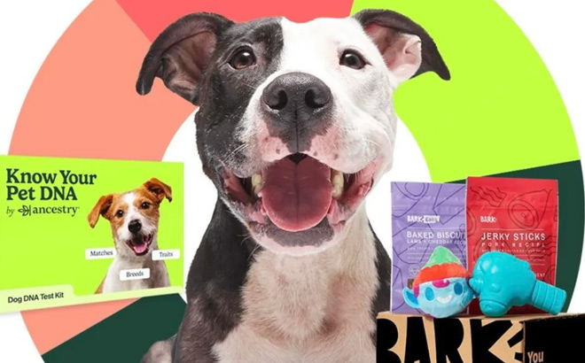Dog with an Ancestry Know Your Pet DNA Kit and BarkBox