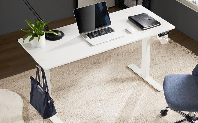 Electric Standing Desk in an Office Room
