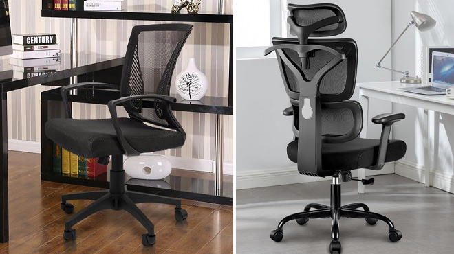 Furmax Office Desk Chair and Winrise Office and Gaming Chair