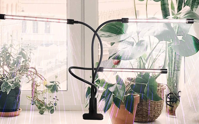 Grow light finder deals