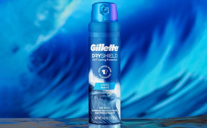 Gillette DryShield Cool Wave Spray