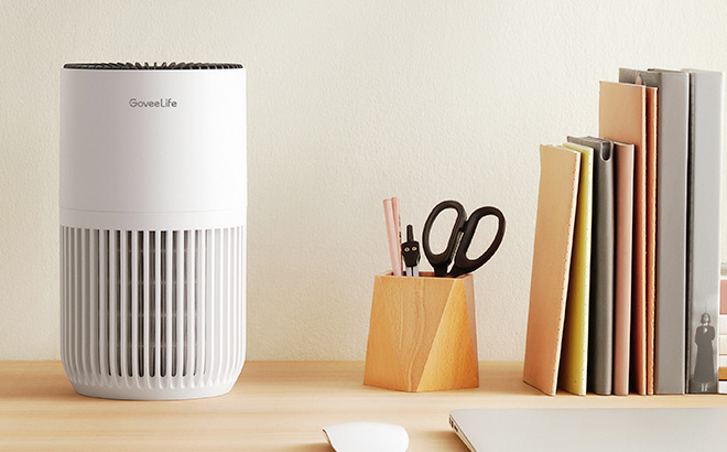 GoveeLife Mini Air Purifier