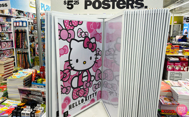 Hello Kitty Posters on Store Shelf