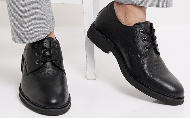 Hush Puppies Detroit Oxford Shoes in Black 1