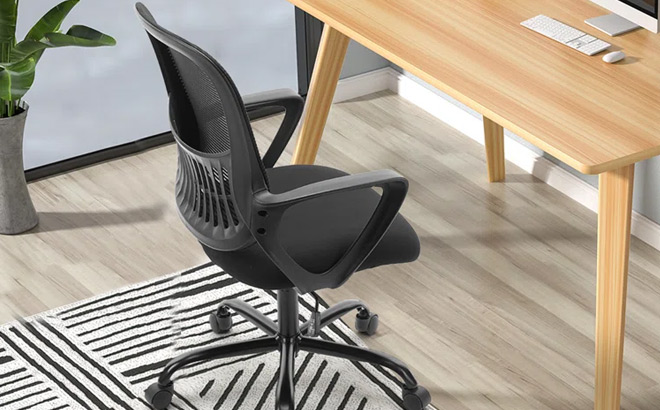 Inbox Zero Ergonomic Office Chair