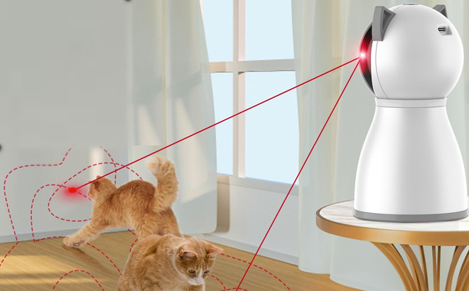 Laser Toy For Cats at Amazon 2