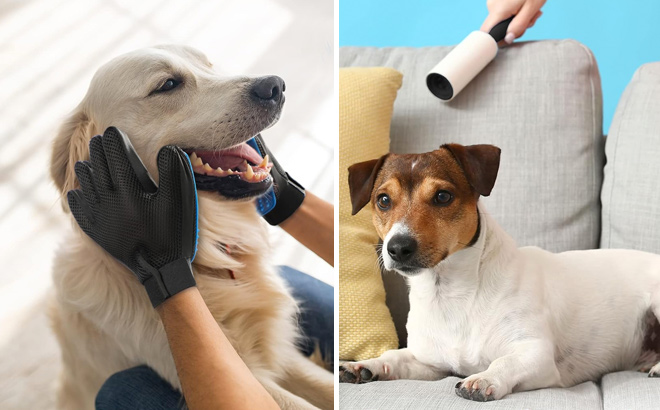Lint Rollers for Pet Hair Sticky Remover for Couch