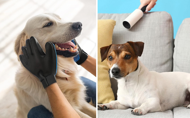 Lint Rollers for Pet Hair Sticky Remover for Couch Lint Rollers for Pet Hair Sticky Remover for Couch