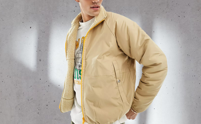 Model Wearing Mens The North Face Reversible Jacket