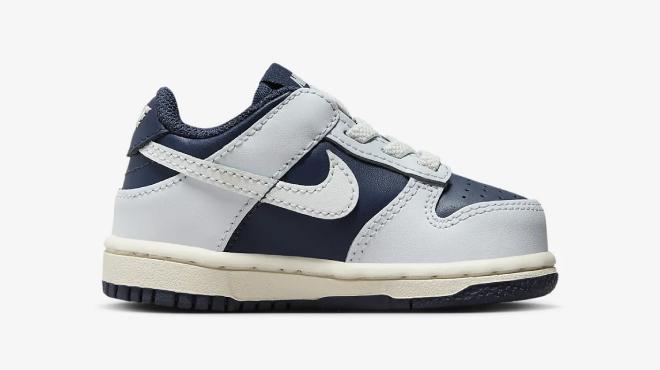 Nike Dunk Low Baby Shoes