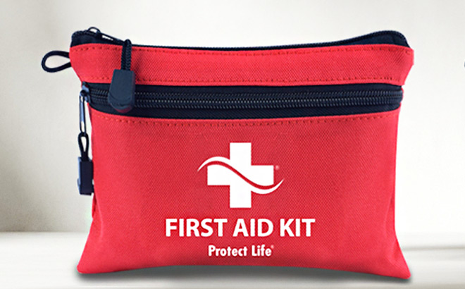 Protect Life 100 Count First Aid Kit