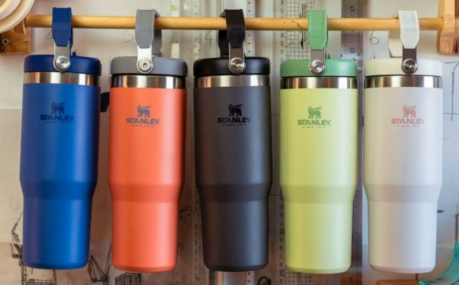 Stanley The IceFlow Flip Straw Tumbler (20 oz) 