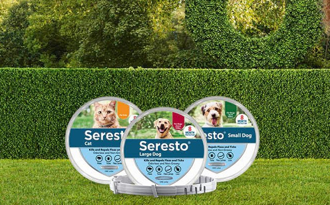 Seresto Flea and Tick Collars