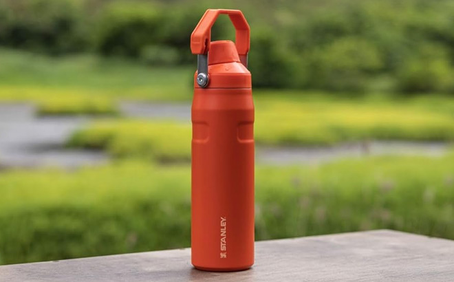 Stanley IceFlow™ Fast Flow Bottle 24 oz