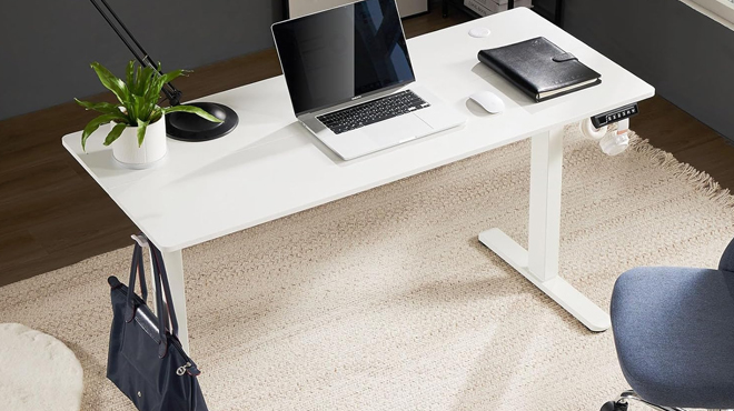 Sweetcrispy Electric Standing Desk