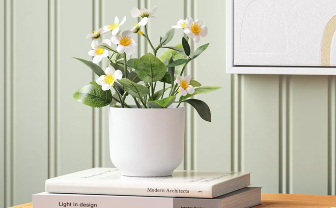 Threshold Artificial Spring Floral Mini Potted Plant on Top of Books on a Table