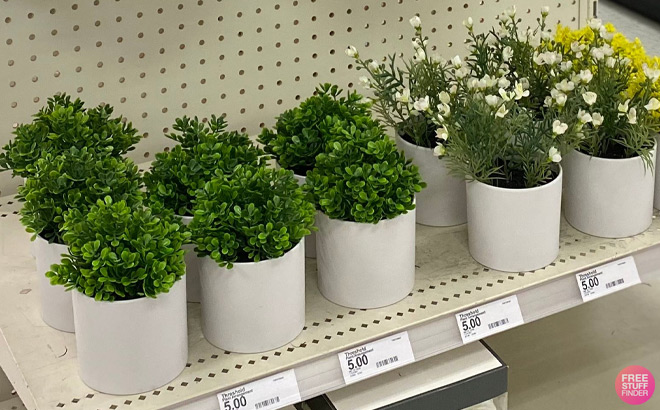 Threshold Faux Plants on a Shelf at Target