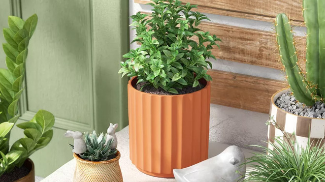 Threshold Geared Terracotta Planter Pot