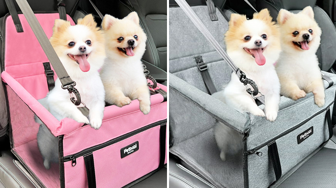Two Dogs in a Petbobi Dog Car Booster Seat Carrier in Pink and Gray